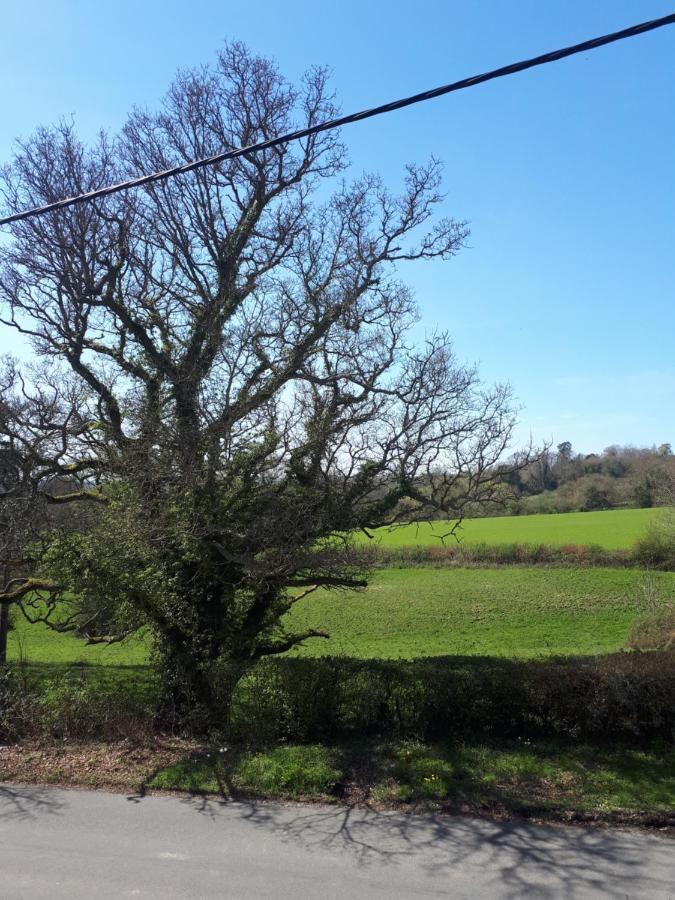 Court Barn Cottage B&B Burwash ภายนอก รูปภาพ