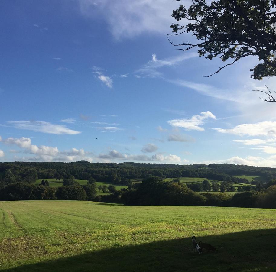 Court Barn Cottage B&B Burwash ภายนอก รูปภาพ